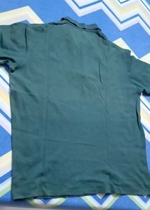 Calvin Klein Green Polo Shirt (4XL)