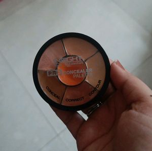 Insight Pro Concealer Palette