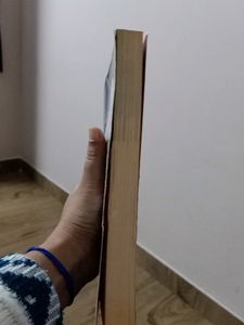 Novel