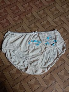 Comfortable Beige Briefs