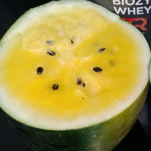 Yellow WaterMelon 🍈 farming Seeds