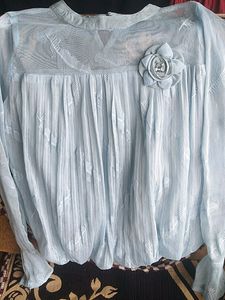 Sky Blue Organza Top