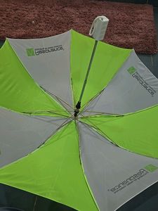Umbrella