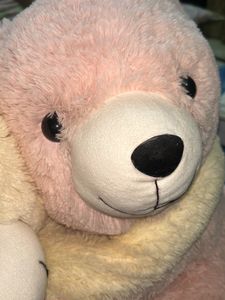 Hugging Teddy 🧸