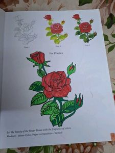 Grade 6 Textbooks Bundle