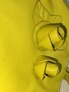 Caprese Handbag New Condition Like Green