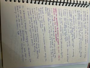 evidence law notes (BSA)