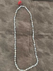 Vaijanti Mala with 5 Mukhi Rudraksha