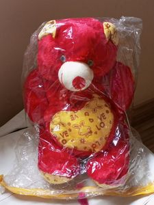 Cute Red Teddy ❤️