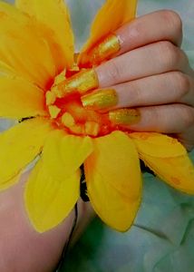 Press On Nails Gold Dust