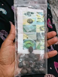 lotus seeds 18