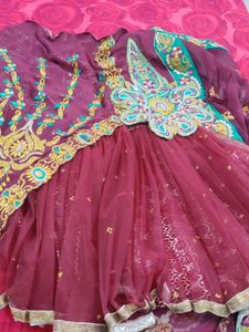 Designer Saree Cum Lehanga