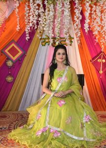 Stunning Hand painted Lime Green Lehenga Choli