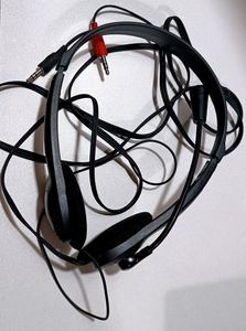 Headphone With Mic in Working Condition
