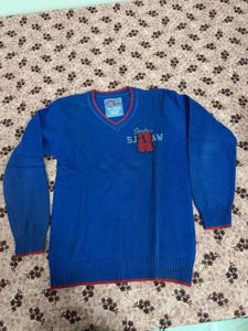 Spykar Blue V-Neck Sweater