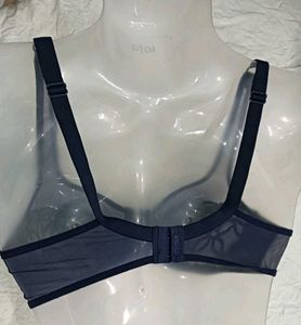 Sheer Embroidered Bra 🤎