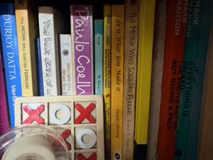 Collection of Popular Fiction Books