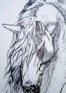 ✨Hand-Drawn Horse Sketch✨