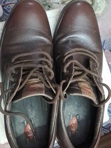 Lee Cooper Brown Leather Shoes Size UK10