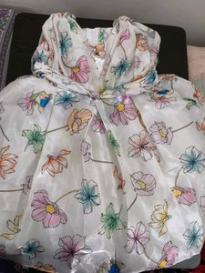 Floral Print Sheer Dress