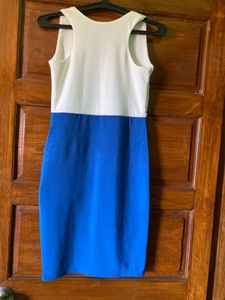 Chic Two-Tone Sleeveless Dress