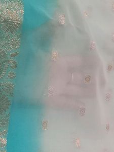 Bootidaar Sareee
