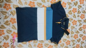 New Striped Polo T-Shirt