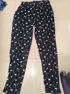 daily wear pants