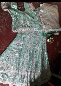 Elegant Lehenga Choli Set