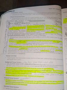 NEET Champion Class 11 &amp; 12 Biology