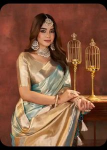 woven design zari organza banarasi saree