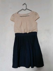 Chic Two-Tone Dress