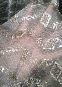 Organza Suit Set
