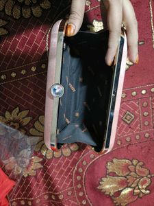 Elegant Embellished Clutch