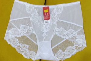 2011 -- delicate Lace Trim panty