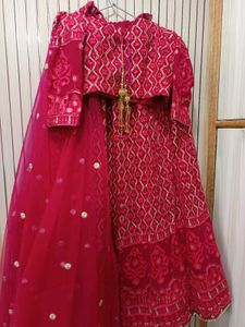 Elegant Pink Embroidered Ethnic Lehnga choli