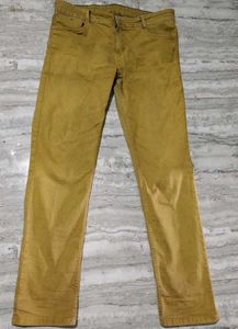 Combo of Cargo shorts and Jeans