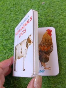 Set of 4 Board Books for Toddlers
