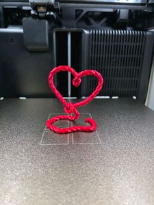Red 3D Printed Rope Heart  Valentine's
