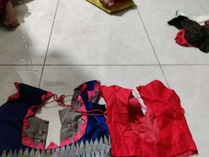Set of 2 Indian Ethnic Blouses