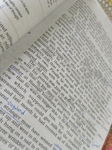 CBSE Class 12  NCERT Books