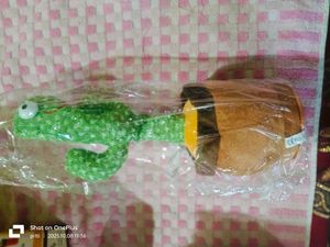Dancing Cactus Toy