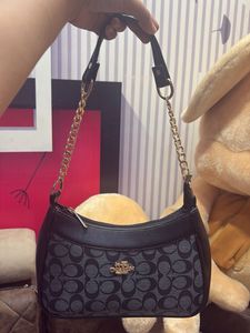 Coach Signature Hobo Bag