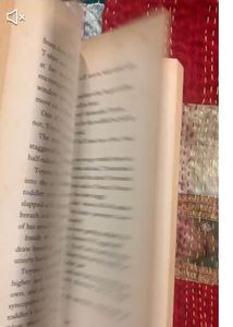 Number Ten by Sue Townsend