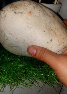Unique Natural River Stone