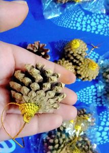 Natural Pinecones Pistachio Pine Cones Ornaments