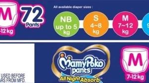 Pack Of 70 Pants With Free Rabbit Diaper - MEDIUM