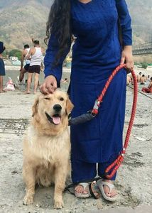 Elegant Blue handwork chikankari Kurta for Women