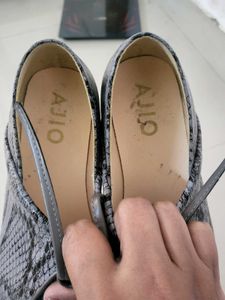 Snake Print Shoes