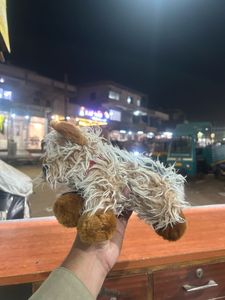 Keel Yorkshire Terrier 'Maisy' Puppy Dog Red